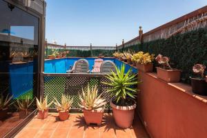 balcón con macetas y piscina en casa orymar en El Cotillo