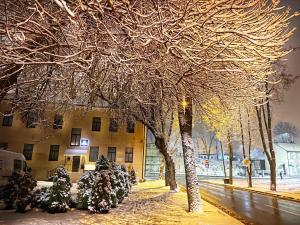 a tree covered in lots of snow next to a building at Apartamenti DVINSKA in Daugavpils