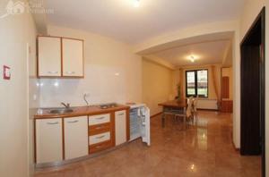 O bucătărie sau chicinetă la Pension Camelia