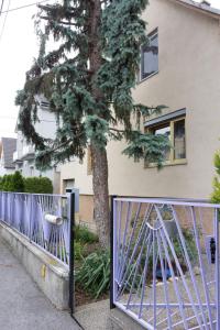 a tree behind a gate in front of a house at Garden Apartment Donau-City (P&R) in Vienna