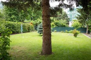 Ogród w obiekcie Garden Apartment Donau-City (P&R)
