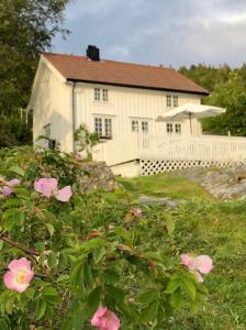 En have udenfor Pålberget + 25 billeder