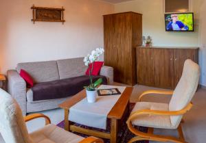 TV a/nebo společenská místnost v ubytování Hotel Pension Residence