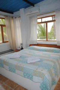 a bedroom with a large bed with a window at Hostal Galapagos by Bar de Beto in Puerto Villamil