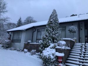 Una casa con un árbol de Navidad en la nieve en Villacai en Nailsea