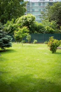 Ogród w obiekcie Garden Apartment Donau-City (P&R)