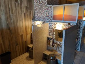 La Vista Furano Hills Natural Hot Spring的一间浴室