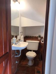 マル・デル・プラタにあるCasa Barrio Güemesのトイレと洗面台のある小さなバスルーム