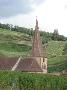 Afbeelding uit fotogalerij van Hôtel de l'Ange in Niedermorschwihr