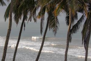 two palm trees on the beach with the ocean at J Walker Hostel in Weligama