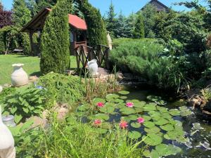un jardin avec un étang orné de fleurs et de plantes dans l'établissement Pokoje Gościnne Magnolia Rooms, à Serock