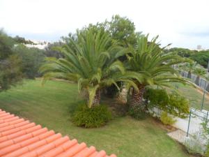 Сад в Casa do Algarve