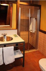 a bathroom with a sink and a shower at Hotel Rural Peña Del Alba in Arroyomolinos de la Vera
