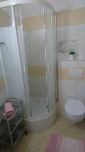 Koupelna v ubytování Apartmán Patris 40