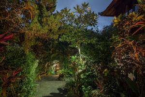 Сад в Bali Spirit Hotel and Spa, Ubud