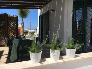drie planten in witte potten op een veranda bij Mare d'aMare 2 in Torre Suda