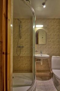 a bathroom with a shower and a toilet and a sink at Flatmanagement Kaupmehe Apartments in Tallinn