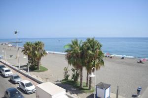a view of a beach with palm trees and the ocean at Algarrobo Costa Primera línea de playa Duplex in Algarrobo
