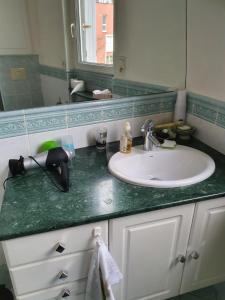 a bathroom counter with a sink and a mirror at Libération-Maison d'hotes in Le Mans