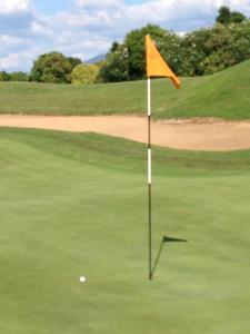 een gele vlag op een golfbaan bij Villa Betty in Porto Clementino +36 foto's