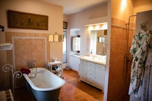a bathroom with a tub and a sink and a bath tub at Manoir Du Bois Noblet in Louerre