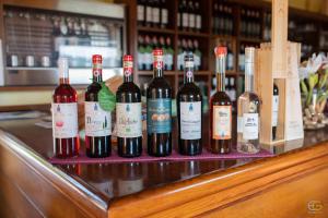 a bunch of bottles of wine sitting on a counter at Terre di Melazzano - Le Case di Chiara in Greve in Chianti