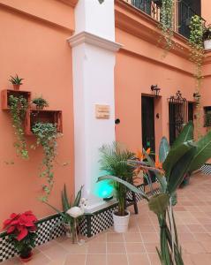 a building with plants on the side of it at Alojamiento Rural Flamingo in El Rocío