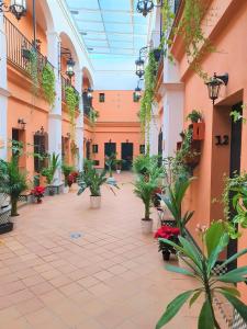 une cour dans un bâtiment avec des plantes en pot dans l'établissement Alojamiento Rural Flamingo, à El Rocío