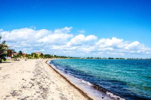 a beach with blue water and palm trees on it at Carol's Cabanas in Placencia