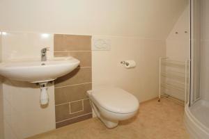 a bathroom with a toilet and a sink at U Kašny in Kašperské Hory