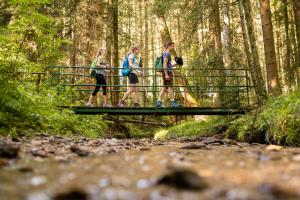 three people walking across a bridge in a forest at Joglland Hotel Prettenhofer in Wenigzell