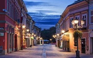 una calle de ciudad vacía por la noche con luces de calle en Laufer en Novi Sad