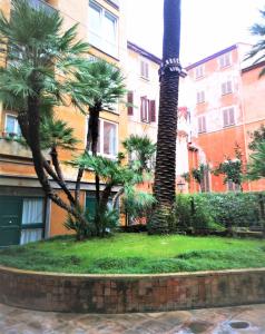 un gruppo di palme di fronte a un edificio di Trevi Nice Holiday - Luxury Apartment a Roma