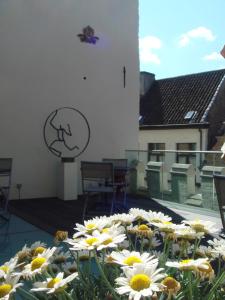Fotografie z fotogalerie ubytování B&B Huis ´T Schaep v Bruggách