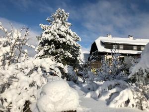 een met sneeuw bedekte kerstboom voor een gebouw bij Ferienhaus Santner in Tamsweg