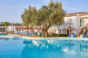 a large swimming pool with a tree and chairs at Seaclub Alcudia Mediterranean Resort in Port d'Alcudia