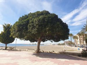 Zdjęcie z galerii obiektu Beautiful flat with sea view and sound of the surf w mieście Santa Pola