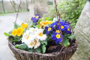 Gallery image of Knole Farm in Okehampton