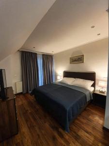 1 dormitorio con 1 cama grande con manta azul en Il Galeone hotel en Stupava