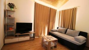 Televízia a/alebo spoločenská miestnosť v ubytovaní Holiday Home Jozo