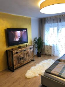 Televízia a/alebo spoločenská miestnosť v ubytovaní Wohlfühlappartment in der Altstadt von Steyr