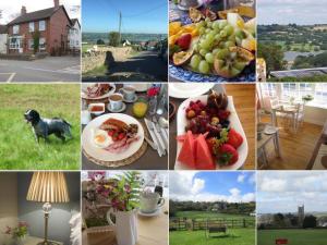 a collage of pictures of food at School Farm in Blagdon