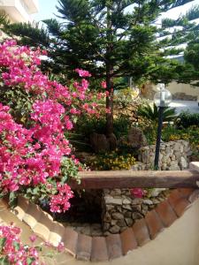 A garden outside Sa Corte Antiga