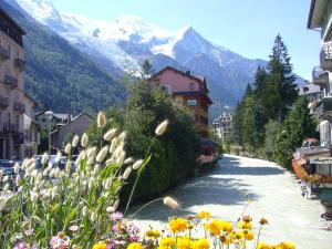 Une rue avec des fleurs et des montagnes en arrière-plan dans l'établissement Hôtel Vallée Blanche, à Chamonix-Mont-Blanc