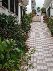 コニル・デ・ラ・フロンテーラにあるEl Patio Iの植物の家の前の煉瓦歩道