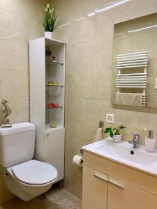 y baño con aseo y lavamanos. en Casa Nataliya, via tampori 8 6503 Bellinzona en Bellinzona