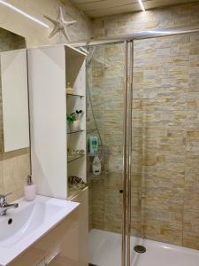 uma casa de banho com um chuveiro e um lavatório. em Casa Nataliya, via tampori 8 6503 Bellinzona em Bellinzona