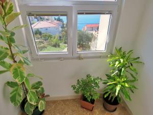 Zahrada ubytování Apartments Nemira