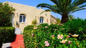 A garden outside Stavros Villas&Apartments