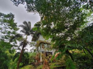 a house on top of a hill with trees at Willow's Abode in Kandy